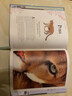 現(xiàn)貨 DK典藏博物館 圖解百科有趣的動物集 An Anthology of Intriguing Animals 英文原版進(jìn)口圖書 動物科普百科攝影集 DK少兒百科科普 精裝收藏 曬單實(shí)拍圖