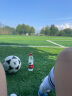 阿迪达斯 （adidas）足球欧洲杯世界杯足球5号4号成人儿童青少年训练比赛赛事用球 5号/标准 世界杯经典S12241 比赛训练球 实拍图