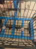 人力三輪車老人腳蹬碟剎三輪自行車腳踏車老年人買菜車 藍，靠背，碟剎 曬單實拍圖