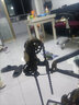 帝卡韋山地自行車牙盤鏈條飛輪套裝21速9S卡旋式塔輪齒輪盤車鏈鏈盤通用 牙盤+鏈條+7速旋飛（配工具） 曬單實(shí)拍圖