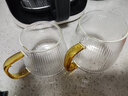 左茗右器加厚玻璃杯茶杯家用早餐杯大容量喝水杯子簡(jiǎn)約辦公室咖啡杯馬克杯 豎紋杯 450ml 曬單實(shí)拍圖