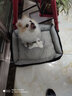雪貂留香白色比熊博美西高地犬馬爾濟斯犬白毛犬專(zhuān)用毛發(fā)美白香波狗沐浴露 曬單實(shí)拍圖