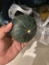 采鮮惠 貝貝南瓜 板栗味小南瓜寶寶新鮮蔬菜 粉糯香甜 4.5kg 曬單實(shí)拍圖