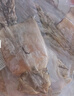 海鮮頌大號魷魚(yú)干燒烤魷魚(yú)片海鮮海產(chǎn)干貨炒菜煲湯食材鐵板魷魚(yú)手撕魷魚(yú) 大魷魚(yú)干2只裝 曬單實(shí)拍圖