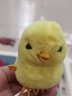 TOYS兒童玩具小雞會(huì )走毛絨雞仔跳跳寶寶發(fā)條小動(dòng)物下蛋母雞鸚鵡麻雀 黃色跳跳雞1只 曬單實(shí)拍圖
