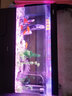 YEE魚(yú)缸燈led燈潛水防水可調色照明水族箱龍魚(yú)七彩魚(yú)小型增艷燈管 【三擋變色97cm】240 度廣角/加密燈珠 曬單實(shí)拍圖