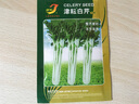 鳳鳴雅世白芹菜種籽彩色芹菜白桿芹菜種子實(shí)心香芹種籽耐寒耐熱四季小青菜 白芹菜種子10克約7000多粒 曬單實(shí)拍圖
