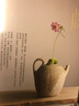 一花入魂：回到初心，和大師練習日常插花 港臺原版 上野雄次 遠流出版 曬單實拍圖
