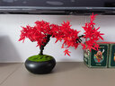 樸記 仿真綠植發(fā)財(cái)樹(shù)迎客松盆景小擺件客廳酒柜辦公桌茶藝小松樹(shù)假花盆栽裝飾品 松仔盆景擺件-紅楓葉 曬單實(shí)拍圖