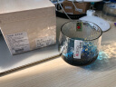 TOYO-SASAKI GLASS【品牌官旗】日本进口东洋佐佐木八千代星空杯创意威士忌杯水杯 星空杯 木盒装【现货速发】 实拍图
