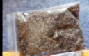 播種心情 艾草種子野生細(xì)葉食用靳艾蒿青蒿香青團(tuán)艾絨草籽 艾草種子2萬粒 曬單實(shí)拍圖