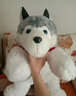 哈士奇睡覺(jué)抱枕靠枕創(chuàng  )意生日禮物女生送女友送給女朋友閨蜜男孩小女孩子毛絨玩具狗玩偶公仔布娃娃實(shí)用的驚喜 哈士奇1米會(huì )說(shuō)I LOVE YOU款 曬單實(shí)拍圖