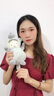 眼含淚光小羊公仔毛絨玩具變身小兔子兔年吉祥物玩偶抱枕娃娃布娃娃女生睡覺抱布偶小號兒童生日禮物女生禮物 小羊變身大灰狼 23厘米 曬單實拍圖
