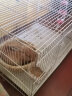 威毕兔笼兔子笼家用室内专用大号荷兰猪豚鼠松鼠刺猬小型狗笼方便清粪 白色大号-13件套 实拍图