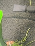 尼特利（NETLEA）水草泥魚(yú)缸草缸造景底泥底砂種植土不易粉化凈水黑棕土自然粒套餐 一代水草泥-自然粒-9L 袋 曬單實(shí)拍圖