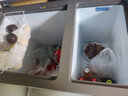 海爾雙溫冰柜家用小型181升兩用柜大冷凍小冷藏1級節(jié)能升級減霜一邊冷藏一邊冷凍商用大容量冷凍冷藏柜 自動(dòng)減霜大冷凍小冷藏大容量/植萃凈味 291L 曬單實(shí)拍圖