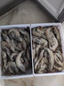 流連灣 超大新鮮大蝦鮮活超大基圍蝦青島特大青蝦白蝦冷凍蝦類(lèi)海鮮水產(chǎn) 大號16-18cm（1.65Kg60-80只） 曬單實(shí)拍圖
