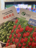 元井匯（YUANJINGHUI）四季小番茄種子圣女果櫻桃西紅柿盆栽農家春季水果蔬菜種籽子大全 瀑布小番茄種子（約280粒） 曬單實(shí)拍圖