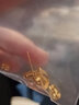 獅子頭越南沙金小巧耳釘女耳棒仿真鍍金豆豆耳環(huán)新年禮物 虎年 天鵝耳釘 曬單實(shí)拍圖
