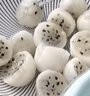 燕窩火龍果苗麒麟果黃龍無(wú)刺火龍果苗盆栽果樹(shù)苗四季結果 燕窩+黃龍各1棵(20-25CM高) 曬單實(shí)拍圖