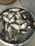 釣魚(yú)王 野攻天下釣魚(yú)魚(yú)餌一包搞定通用鯽魚(yú)鯉魚(yú)草魚(yú)淡水魚(yú)打窩搓餌餌料 底窩800g×1包 曬單實(shí)拍圖