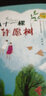 刷刷陽(yáng)光成長(cháng)書(shū)系：八十一棵許愿樹(shù)/孩子陽(yáng)光成長(cháng)推薦書(shū)，連接邊疆與內地的大愛(ài)，樹(shù)與少年共沐陽(yáng)光，共同成長(cháng) 曬單實(shí)拍圖