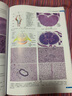 【彩圖】實(shí)驗動(dòng)物功能性組織學(xué)圖譜 李憲堂 等編著(zhù) 實(shí)驗動(dòng)物的系統組織學(xué)、超微組織學(xué) 科學(xué)出版社 曬單實(shí)拍圖