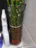 盛世泰堡玻璃花瓶透明插花瓶富贵竹植物水培容器客厅摆件六角斜纹款29cm 实拍图