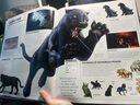 龍與地下城崔斯特傳奇視覺詞典 英文原版 Dungeons and Dragons the Legend of Drizzt Visual Dictionary 曬單實拍圖