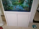 閩江中大型金魚(yú)缸上過(guò)濾水族箱鞋柜儲物懶人免換水長(cháng)方形家用客廳魚(yú)缸 白色 魚(yú)缸過(guò)濾套餐 曬單實(shí)拍圖