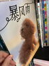 暴風(fēng)雨繪本（套裝共2冊(cè) 暴風(fēng)雨 + 獨(dú)生小孩）《紐約時(shí)報(bào)》兒童情感教育繪本【3-6歲】郭婧 著  曬單實(shí)拍圖