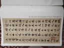 經(jīng)典碑帖全本放大：靈飛經(jīng) 曬單實(shí)拍圖