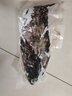 聚鮮品【活鮮】鮮活青石斑魚一條約750g 曬單實拍圖