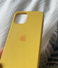 諾邦士適用蘋果13promax保護套iPhone12液態(tài)硅膠殼1大孔保護殼簡約時尚XR手機殼網(wǎng)紅超薄手機套蘋果6軟殼 【姜黃色】液態(tài)硅膠大孔殼 iPhone 13 Pro 曬單實拍圖