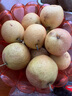 鮮姿遼寧南國(guó)梨南果梨香水梨醉梨酒香梨禮盒東北特產(chǎn)水果 4.5-4.8斤超大果約16-20枚精品裝 曬單實(shí)拍圖