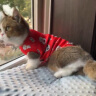 久久宠 猫衣服加绒秋冬装宠物保暖英短美短衣服新年喜庆猫咪两脚背心 招财猫-S-约3~5斤 实拍图