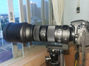 適馬（SIGMA） 150-600mm F5-6.3 S版 打鳥(niǎo) 拍荷花 全畫(huà)幅遠攝變焦長(cháng)焦鏡頭 尼康口 曬單實(shí)拍圖