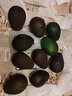 甜果源 進(jìn)口秘魯牛油果 新鮮即食鮮果鱷梨秘森林奶油細膩大果寶寶輔食 單果190g+【5A超大號果】 10個(gè)裝【實(shí)惠裝】 曬單實(shí)拍圖