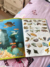 孩子最愛玩的動物泡泡貼：海洋動物 曬單實(shí)拍圖
