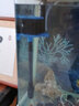格池（GRECH）小型魚(yú)缸過(guò)濾器魚(yú)缸三合一循環(huán)泵水族箱小型潛水泵抽水泵 適用于長(cháng)0.8米魚(yú)缸 CQJ-900G 曬單實(shí)拍圖