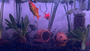 亞峰（yafeng）魚(yú)缸過(guò)濾器過(guò)濾循環(huán)系統(tǒng)小型過(guò)濾泵三合一氧氣泵一體凈水神器內(nèi)置 25W 升級(jí)款 33CM三層/ 標(biāo)準(zhǔn)套餐（帶鴨嘴） 曬單實(shí)拍圖