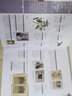【新華正版包郵】新華正版包郵 芳療實證全書+新精油圖鑒 種精油科研新知集成 中信出版社 中信出版社 曬單實拍圖