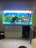 歐亞瑟德國歐亞瑟OASE魚缸加熱棒自動恒溫加溫水族箱草缸烏龜熱帶魚 25w適合15L魚缸加熱棒 曬單實拍圖