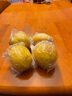 uncle lemon四川特產(chǎn)新鮮黃檸檬大果安岳尤力克水果多汁奶茶店榨汁切片泡茶 2斤大果(單果重量150g+) 曬單實(shí)拍圖
