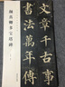 正版顏真卿多寶塔碑 歷代碑帖經(jīng)典集字聯(lián) 顏體楷書(shū)毛筆書(shū)法字帖臨摹入門(mén)教材 簡(jiǎn)體旁注 安徽美術(shù) 集字對 曬單實(shí)拍圖
