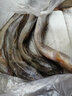 源外園海鮮鮮活沙光魚(yú)冷凍新鮮小龍魚(yú)海鯰魚(yú)深海水產(chǎn)海魚(yú)類(lèi)順豐 三斤裝 曬單實(shí)拍圖