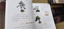 圖解盆景制作與養護 化學(xué)工業(yè)出版社 顧永華,丁昕 編 書(shū)籍 圖書(shū) 曬單實(shí)拍圖