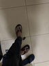阿卡啦人字拖男涼拖鞋男士夾腳沙灘休閑夏季潮流防滑耐磨個(gè)性時(shí)尚室外穿 882黑紅綠 42 曬單實(shí)拍圖