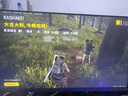 英偉達N卡10系大牌 華碩 影馳 索泰 七彩虹 GTX 1060 6G 二手顯卡 游戲吃雞顯卡9成新 華碩GTX1060 6G 猛禽 曬單實(shí)拍圖