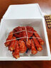 【現貨】禮盒 帝王蟹大禮包1400-1600g熟凍大螃蟹長(cháng)腳蟹海鮮水產(chǎn) 帝王蟹 3.2-2.8斤/只 曬單實(shí)拍圖